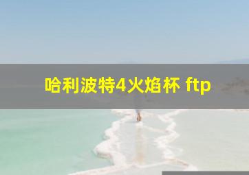 哈利波特4火焰杯 ftp